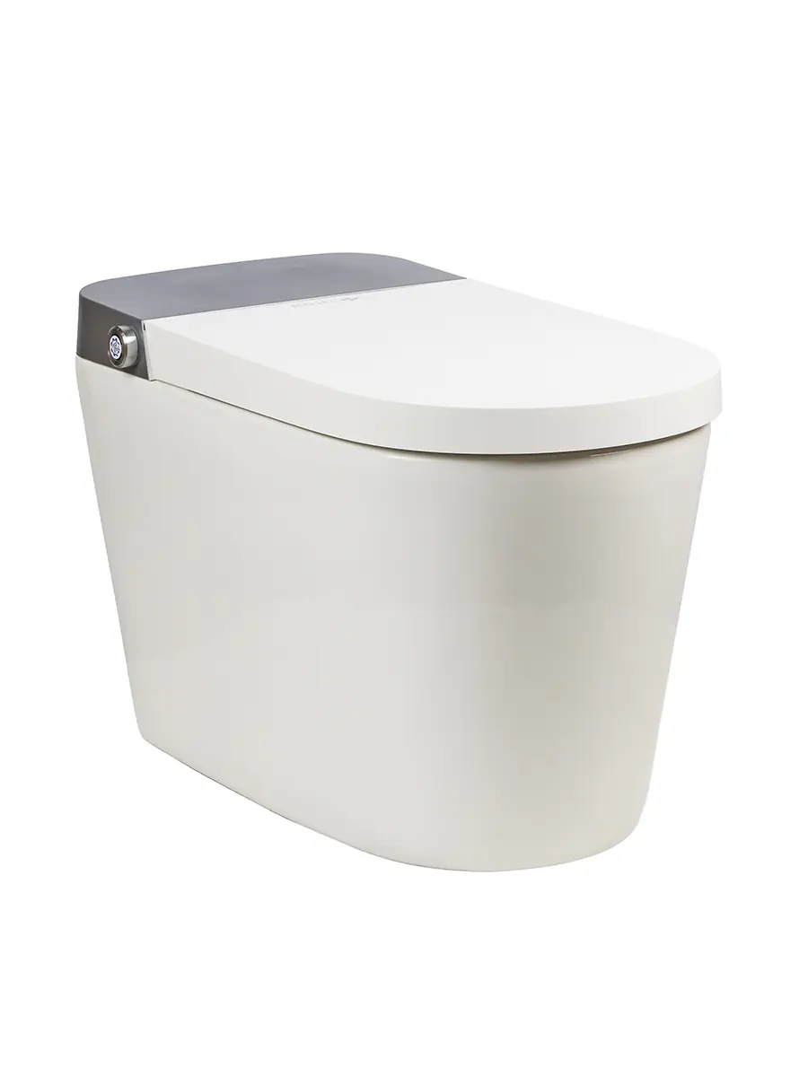 Смарт унитаз HAITEC HT-ESTA091 электронный автоматизированный 