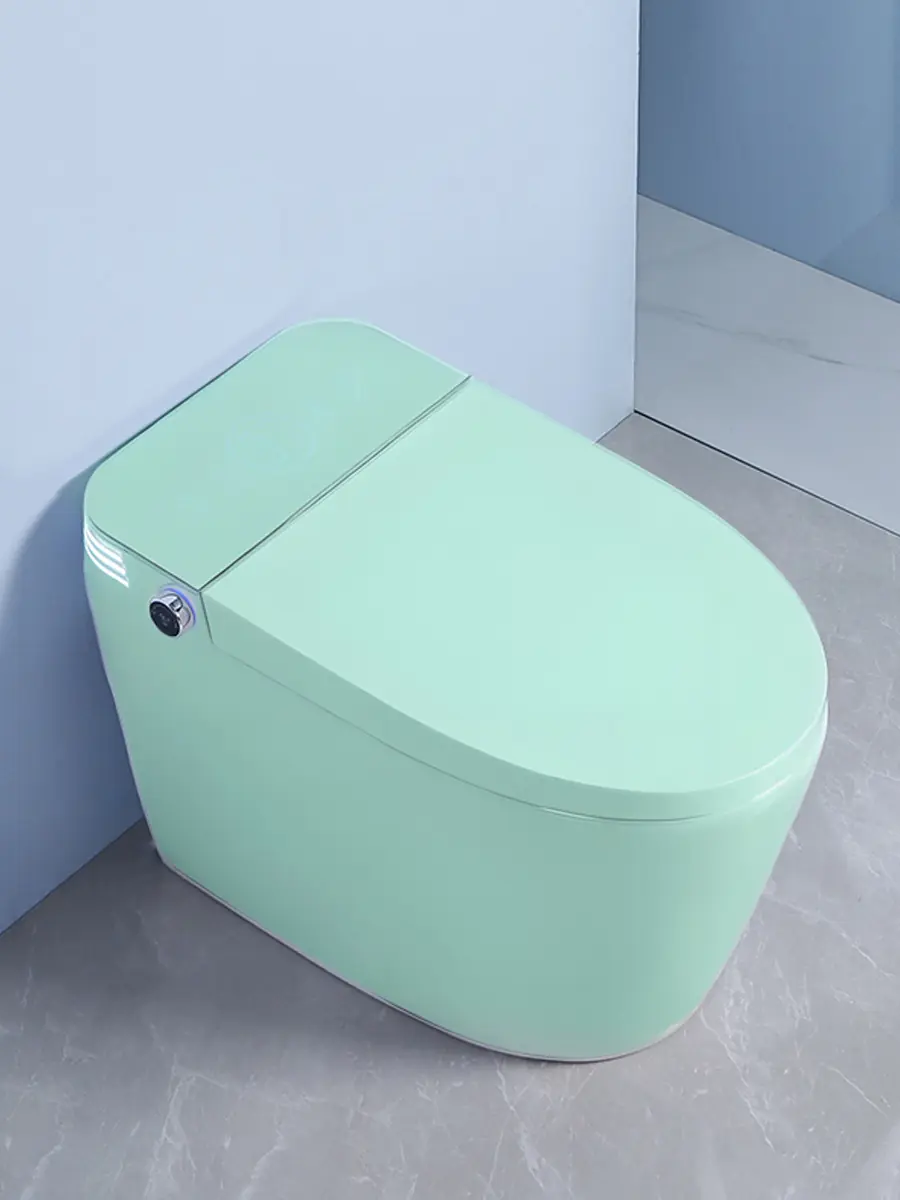 Смарт унитаз HAITEC HT-ESTA101 TIFFANY автоматизированный с встроенным бачком