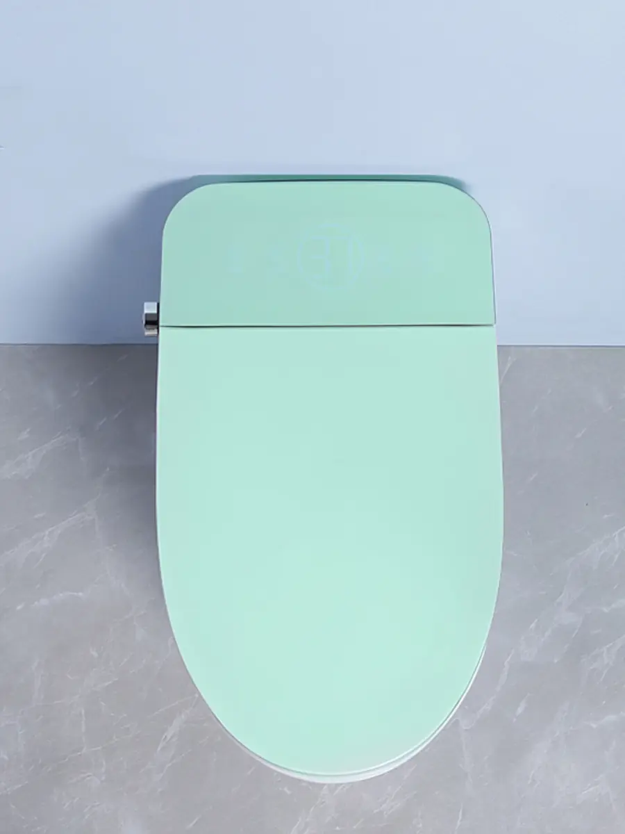 Смарт унитаз HAITEC HT-ESTA101 TIFFANY автоматизированный с встроенным бачком